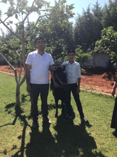 At Terapisi / Hipoterapi E�itimimiz