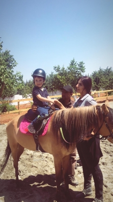 At Terapisi / Hipoterapi E�itimimiz