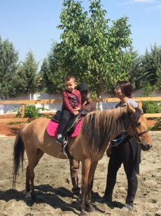 At Terapisi / Hipoterapi E�itimimiz