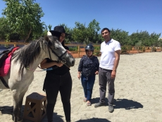 At Terapisi / Hipoterapi E�itimimiz