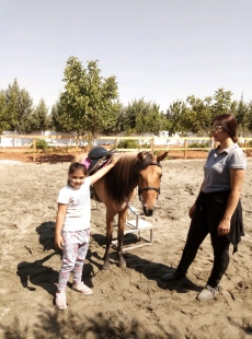 At Terapisi / Hipoterapi E�itimimiz