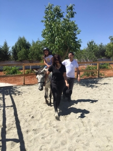 At Terapisi / Hipoterapi E�itimimiz