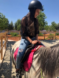 At Terapisi / Hipoterapi E�itimimiz