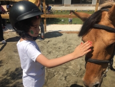 At Terapisi / Hipoterapi E�itimimiz