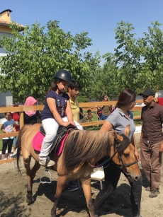 At Terapisi / Hipoterapi E�itimimiz