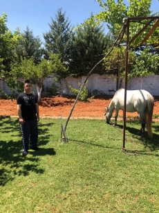 At Terapisi / Hipoterapi E�itimimiz