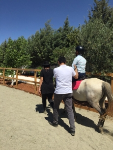 At Terapisi / Hipoterapi E�itimimiz