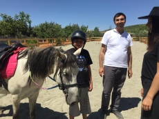 At Terapisi / Hipoterapi E�itimimiz