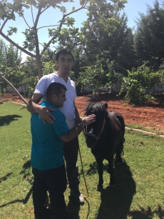 At Terapisi / Hipoterapi E�itimimiz