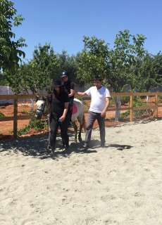 At Terapisi / Hipoterapi E�itimimiz