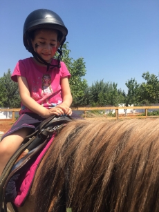 At Terapisi / Hipoterapi E�itimimiz