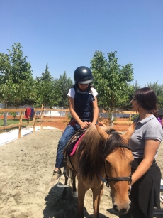 At Terapisi / Hipoterapi E�itimimiz