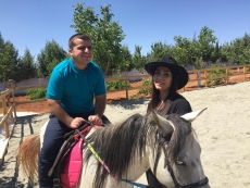 At Terapisi / Hipoterapi E�itimimiz